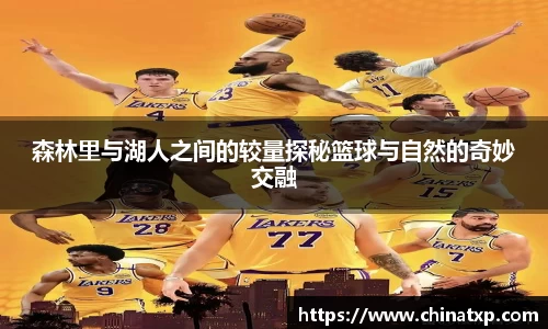 森林里与湖人之间的较量探秘篮球与自然的奇妙交融